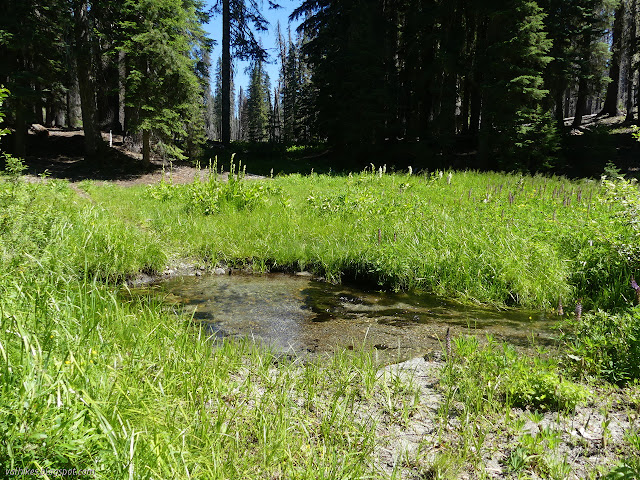 widening water at the crossing