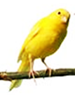 clip_image002[4]