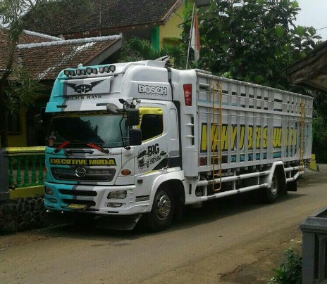 hino modif warna putih