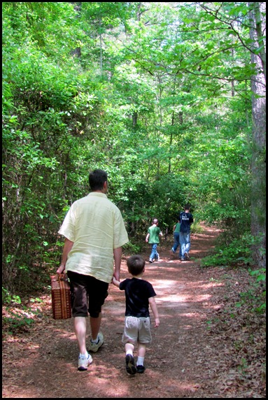 forest ecology preserve