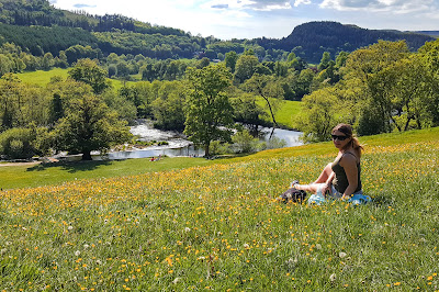 National Trust Velvet Hill i kaskady wodne na rzece Dee - Horseshoe Falls