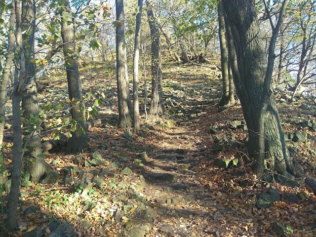 Ostrzyca Proboszczowicka - Śląska Fujiyama