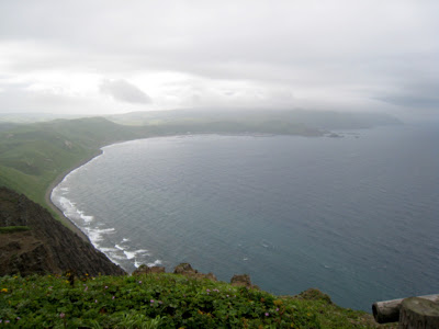 ゴロタ岬南側の海岸線