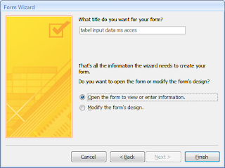 Input data access