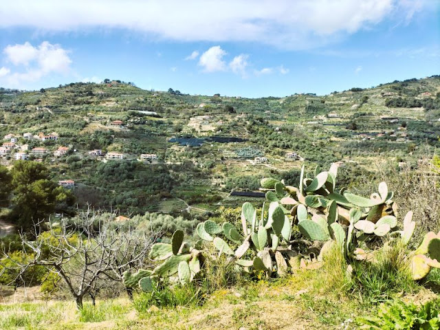 panorama sentiero vallebona Seborga