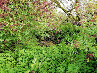 Ninehole Stone, Offaly