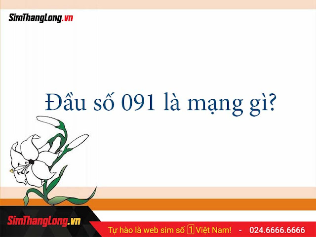 https://simthanglong.vn/bai-viet/dau-so-091-va-y-nghia-tung-con-so-3233