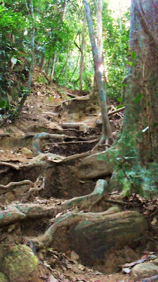  Christ the Redeemer hike