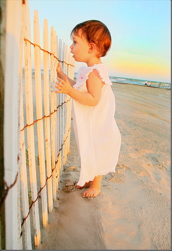 fence