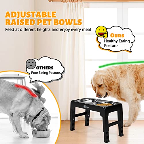 Top 5 Product Reviews | Elevated Dog Bowls for Dogs and Cats