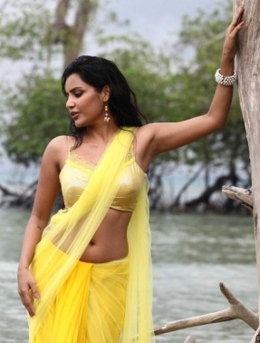 Priya Anand Hot and sexy Navel Show in Ethir Neechal Movie