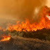 Μεγάλη πυρκαγιά σε δασική έκταση στη νότια Χίο
