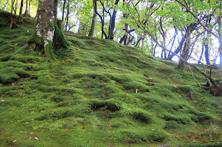 Ginkakuji Silver Pavillion