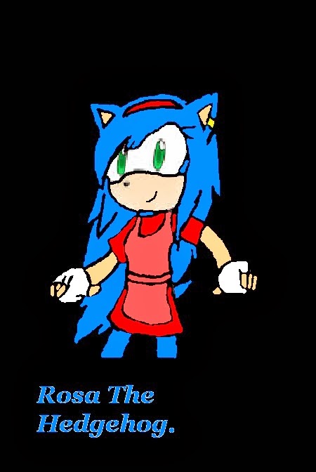 Rosa the Hedgehog.