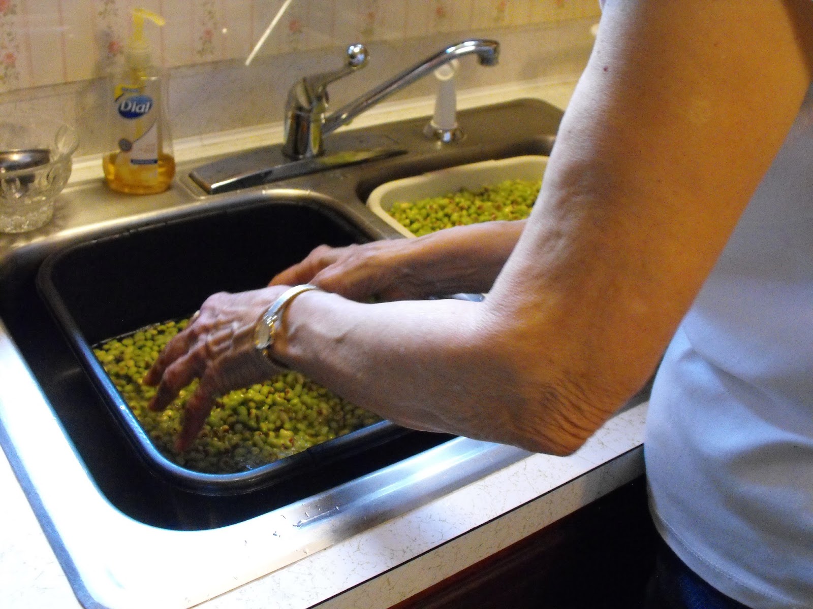 Dishpan with drain