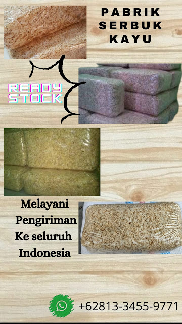 TERMURAH & TERLARIS WA +6281-334-559-771 pabrik sampah kayu sengon SIDOARJO, jual serbuk kayu sengon SIDOARJO, harga pecahan kayu pinus SIDOARJO