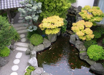 10 Fish Pond Minimalist Design