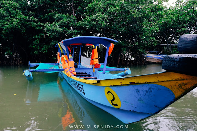 hutan mangrove pandansari brebes