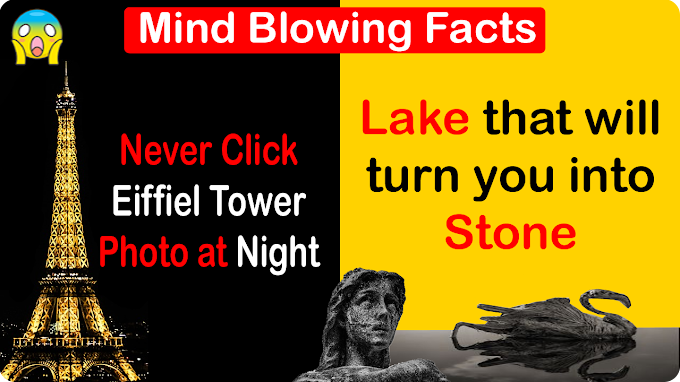 15 Random Facts that will Blow your Mind