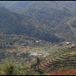 View album