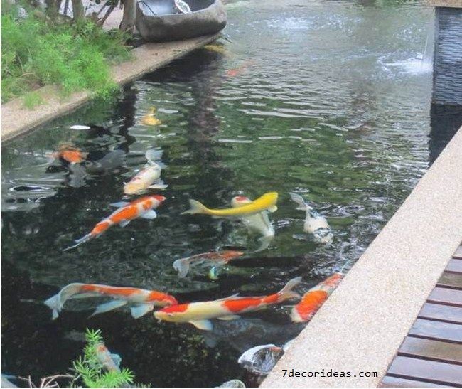 Desain Kolam  Ikan  Koi  Minimalis Sederhana Depan Rumah 