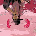 Pretty Deadly - Issue 1 Cover