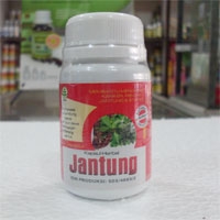 obat herbal penyakit jantung