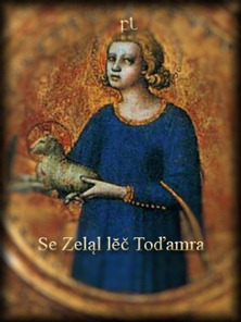 Se Zeląl lĕč Toďamra Cover
