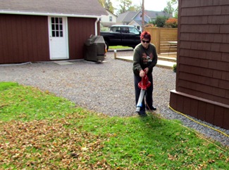 1510076 Oct 20 Barb Helps With Leaf Blowing