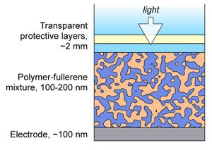 organic photovoltaic cell