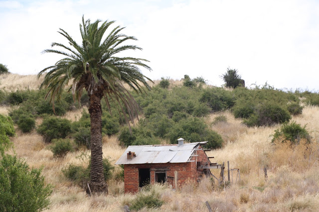 Clunes Goldmines