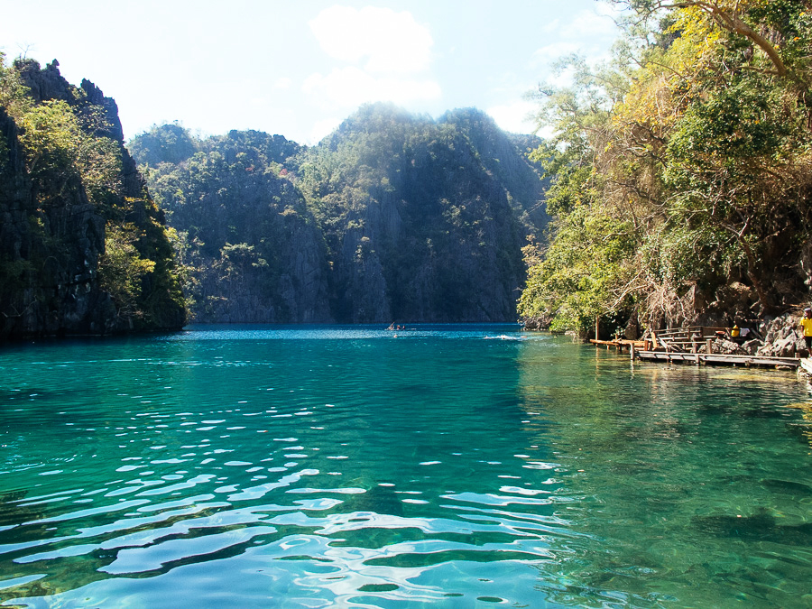 Coron 2015 | chainyan.co