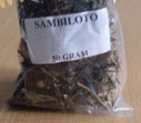 tumbuhan obat tradisional herbal sambiloto kering