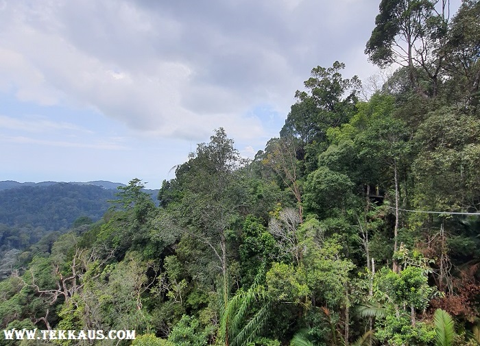 Penang Hill The Habitat Beautiful Scenery