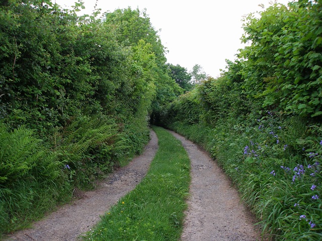 15th_may_08
