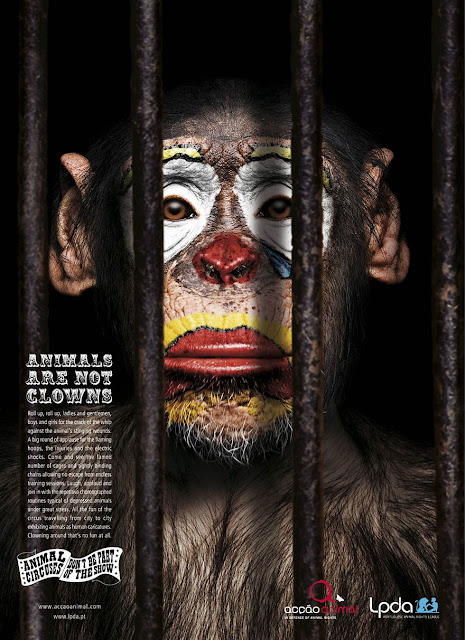 Green Pear Diaries, publicidad que incomoda, payasos, circo, animales