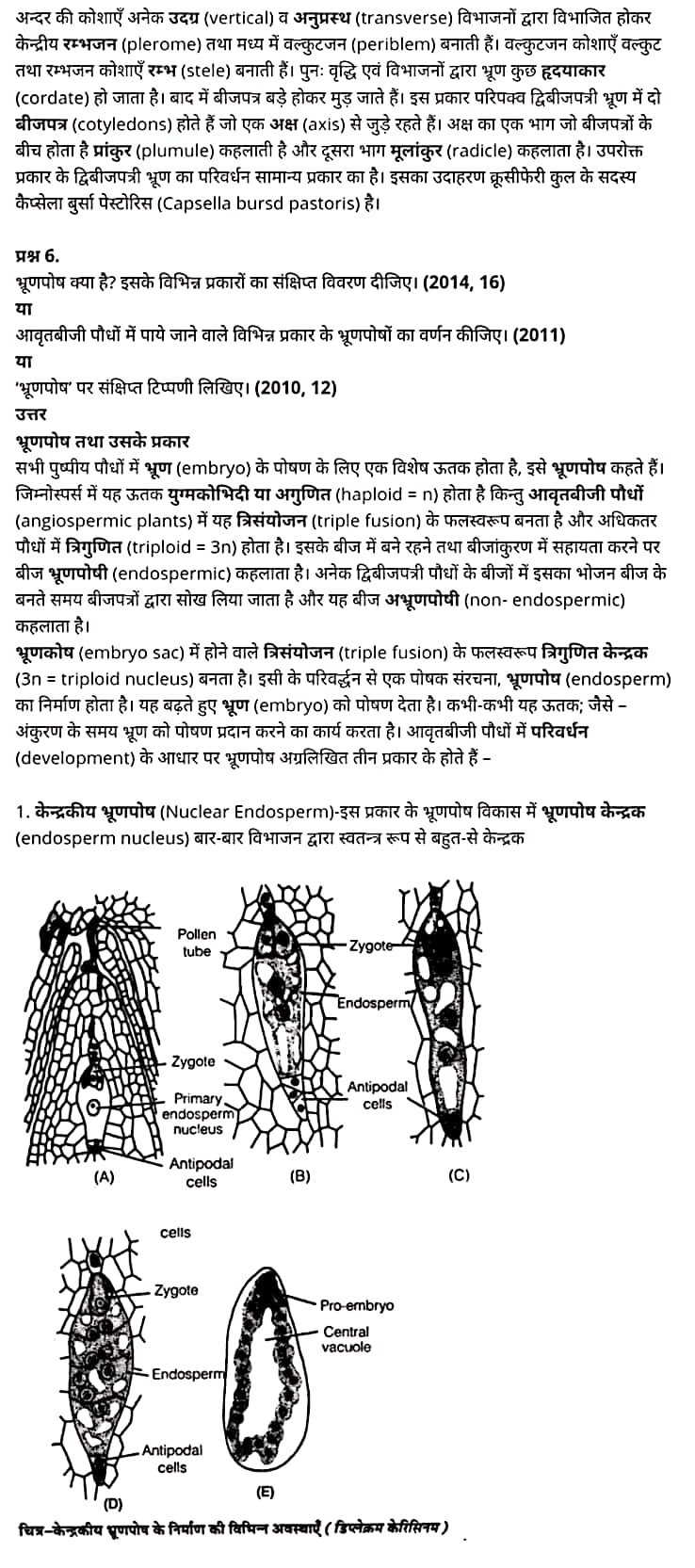 class 12   Biology   Chapter 2,  class 12   Biology   Chapter 2 ncert solutions in hindi,  class 12   Biology   Chapter 2 notes in hindi,  class 12   Biology   Chapter 2 question answer,  class 12   Biology   Chapter 2 notes,  12   class Biology   Chapter 2 in hindi,  class 12   Biology   Chapter 2 in hindi,  class 12   Biology   Chapter 2 important questions in hindi,  class 12   Biology    notes in hindi,   class 12   Biology   Chapter 2 test,  class 12   Biology   Chapter 2 pdf,  class 12   Biology   Chapter 2 notes pdf,  class 12   Biology   Chapter 2 exercise solutions,  class 12   Biology   Chapter 2, class 12   Biology   Chapter 2 notes study rankers,  class 12   Biology   Chapter 2 notes,  class 12   Biology   notes,   Biology    class 12   notes pdf,  Biology   class 12   notes 2021 ncert,  Biology   class 12   pdf,  Biology    book,  Biology   quiz class 12  ,   12  th Biology    book up board,  up board 12  th Biology   notes,   कक्षा 12   जीव विज्ञान  अध्याय 2,  कक्षा 12   जीव विज्ञान  का अध्याय 2 ncert solution in hindi,  कक्षा 12   जीव विज्ञान  के अध्याय 2 के नोट्स हिंदी में,  कक्षा 12   का जीव विज्ञान  अध्याय 2 का प्रश्न उत्तर,  कक्षा 12   जीव विज्ञान  अध्याय 2 के नोट्स,  12   कक्षा जीव विज्ञान  अध्याय 2 हिंदी में,  कक्षा 12   जीव विज्ञान  अध्याय 2 हिंदी में,  कक्षा 12   जीव विज्ञान  अध्याय 2 महत्वपूर्ण प्रश्न हिंदी में,  कक्षा 12   के जीव विज्ञान  के नोट्स हिंदी में,  जीव विज्ञान  कक्षा 12   नोट्स pdf,  जीव विज्ञान  कक्षा 12   नोट्स 2021 ncert,  जीव विज्ञान  कक्षा 12   pdf,  जीव विज्ञान  पुस्तक,  जीव विज्ञान  की बुक,  जीव विज्ञान  प्रश्नोत्तरी class 12  , 12   वीं जीव विज्ञान  पुस्तक up board,  बिहार बोर्ड 12  पुस्तक वीं जीव विज्ञान  नोट्स,    12th Biology    book in hindi, 12  th Biology    notes in hindi, cbse books for class 12  , cbse books in hindi, cbse ncert books, class 12   Biology   notes in hindi,  class 12   hindi ncert solutions, Biology   2020, Biology   2021, Biology   2022, Biology   book class 12  , Biology    book in hindi, Biology   class 12   in hindi, Biology   notes for class 12   up board in hindi, ncert all books, ncert app in hindi, ncert book solution, ncert books class 10, ncert books class 12  , ncert books for class 7, ncert books for upsc in hindi, ncert books in hindi class 10, ncert books in hindi for class 12 Biology  , ncert books in hindi for class 6, ncert books in hindi pdf, ncert class 12 hindi book, ncert english book, ncert Biology    book in hindi, ncert Biology    books in hindi pdf, ncert Biology  class 12  ,   ncert in hindi,  old ncert books in hindi, online ncert books in hindi,  up board 12  th, up board 12  th syllabus, up board class 10 hindi book, up board class 12   books, up board class 12   new syllabus, up board intermediate Biology    syllabus, up board intermediate syllabus 2021, Up board Master 2021, up board model paper 2021, up board model paper all subject, up board new syllabus of class 12  th Biology  ,   12 वीं जीव विज्ञान   पुस्तक हिंदी में, 12  वीं भौतिक विज्ञान  नोट्स हिंदी में, कक्षा 12   के लिए सीबीएससी पुस्तकें, कक्षा 12   जीव विज्ञान  नोट्स हिंदी में, कक्षा 12   हिंदी एनसीईआरटी समाधान,  जीव विज्ञान  बुक इन हिंदी, भौतिक विज्ञान  क्लास 12   हिंदी में,  एनसीईआरटी भौतिक विज्ञान  की किताब हिंदी में,  बोर्ड 12 वीं तक, 12 वीं तक की पाठ्यक्रम, बोर्ड कक्षा 10 की हिंदी पुस्तक , बोर्ड की कक्षा 12   की किताबें, बोर्ड की कक्षा 12 की नई पाठ्यक्रम, बोर्ड जीव विज्ञान  2020, यूपी   बोर्ड जीव विज्ञान  2021, यूपी  बोर्ड जीव विज्ञान  2022, यूपी  बोर्ड भौतिक विज्ञान  2023, यूपी  बोर्ड इंटरमीडिएट भौतिक विज्ञान  सिलेबस, यूपी  बोर्ड इंटरमीडिएट सिलेबस 2021, यूपी  बोर्ड मास्टर 2021, यूपी  बोर्ड मॉडल पेपर 2021, यूपी  मॉडल पेपर सभी विषय, यूपी  बोर्ड न्यू क्लास का सिलेबस  12   वीं भौतिक विज्ञान, अप बोर्ड पेपर 2021, यूपी बोर्ड सिलेबस 2021, यूपी बोर्ड सिलेबस 2022,