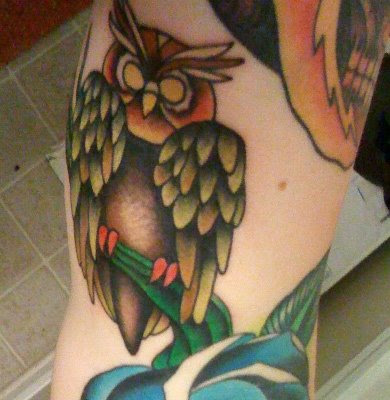 The Hoot of Life Owl Tattoo Hoot of Life Owl Tattoo Owl tattoo