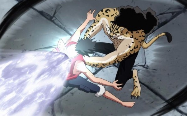 9 Types of Martial Art in One Piece Anime Stories!