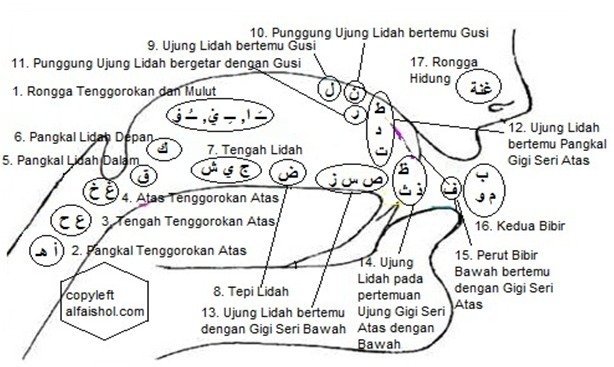 RUMAH TAHVIDZ QUR AN CINTA RASUL MAKHROJ HURUF ARAB TAJWID