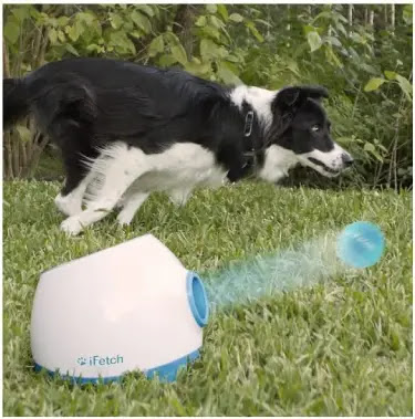 iFetch Interactive Ball Launchers for Dogs - Must-Have dog Gadgets