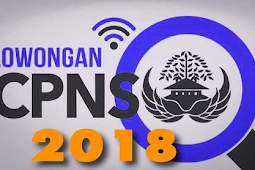 CPNS 2018 Dibuka Kembali , 5 Web Resmi Penyedia Informasi CPNS 2018