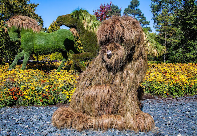 Gallery images of the Botanical Garden in Canada 