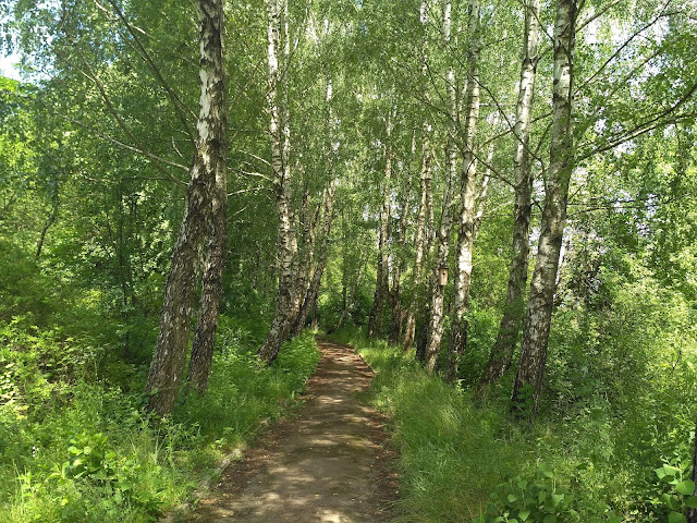 пгт. Рокини Волынская обл.