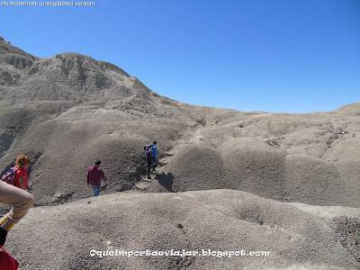 Bosque Petrificado de La Leona - El Calafate