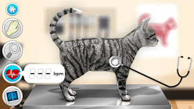 Screenshot of tabby cat being examined with stethoscope