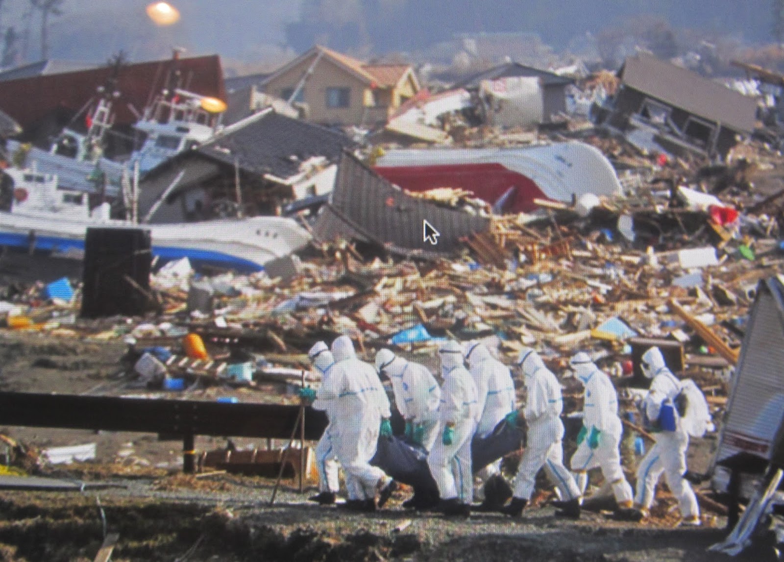 Must he do everything? Putin offers to help clean up Japan ...