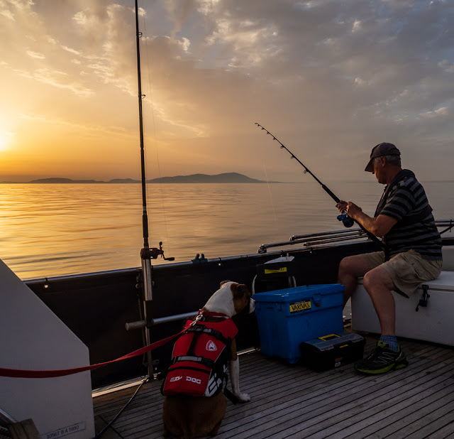 Photo of Ruby watching Phil fishing as the sun sets over the Solway Firth