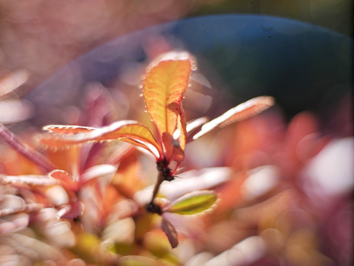 Herbstfarben