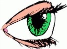 eye